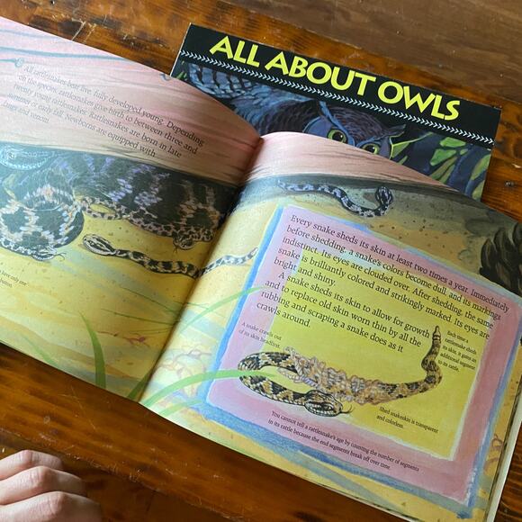 Vintage 90s Scholastic Bundle of 3 All About ... Paperback Books - Picture 7 of 12